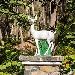 Hotel Forest Park 4*