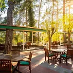 Hotel Forest Park Platres