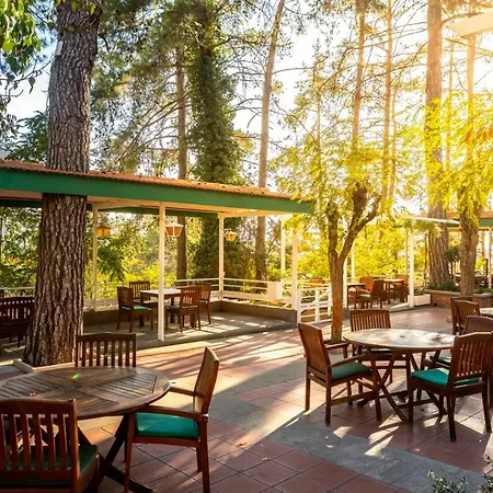 Hotel Forest Park Platres