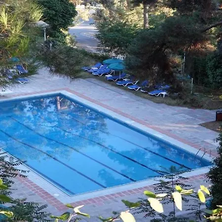 Hotel Forest Park
