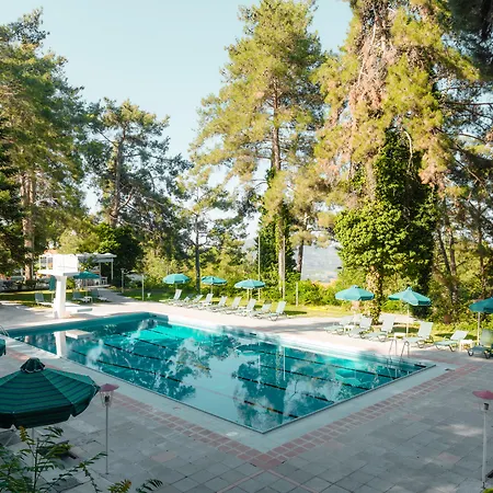 فندق Forest Park بلاتريس