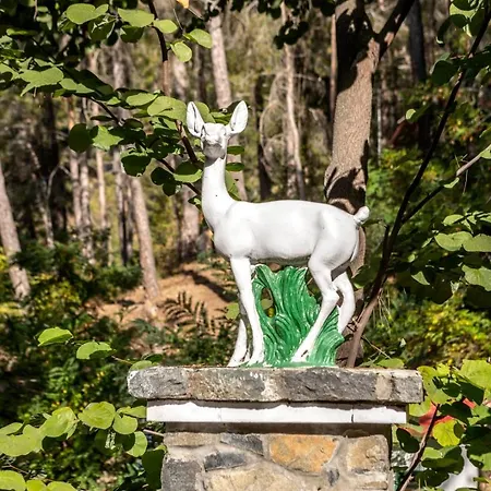 Hotel Forest Park 4*