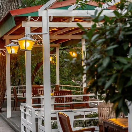 Forest Park فندق بلاتريس