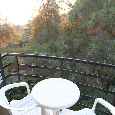 فندق Forest Park بلاتريس