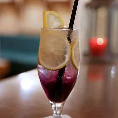 فندق Forest Park بلاتريس