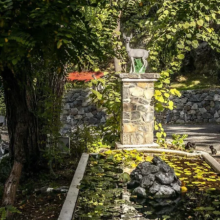 فندق Forest Park