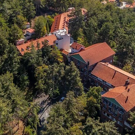 فندق Forest Park بلاتريس