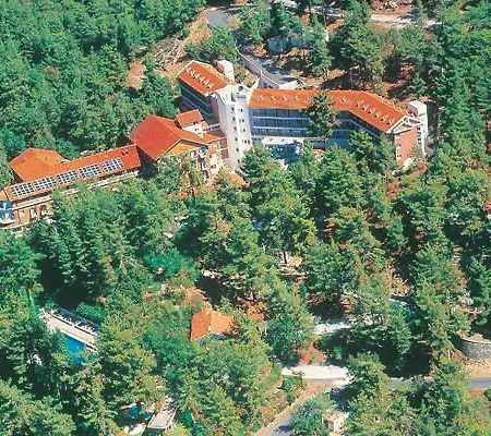 Forest Park فندق