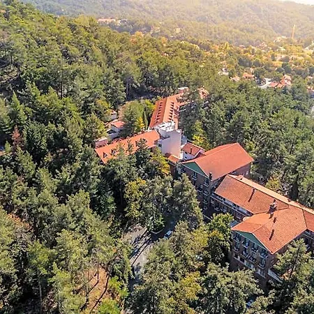 Forest Park 4*