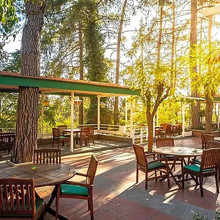 Forest Park Hotel Platres