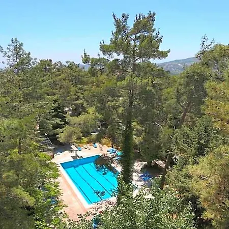 Hotel Forest Park 4*