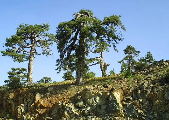 Hotell Forest Park Platres