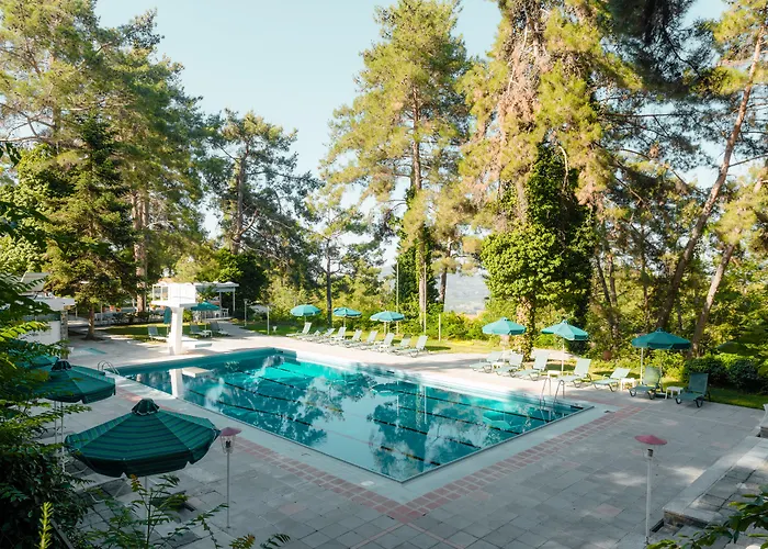 Ξενοδοχείο Forest Park Πλάτρες