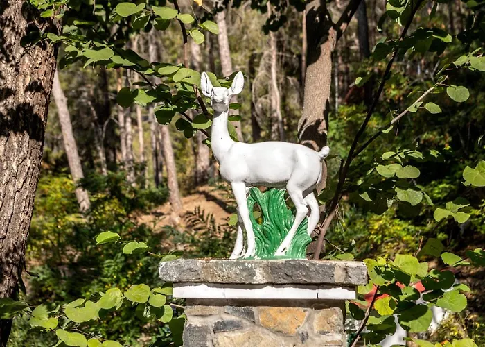 Hotel Forest Park 4*