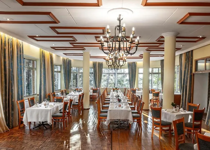 Forest Park Hotel 4*