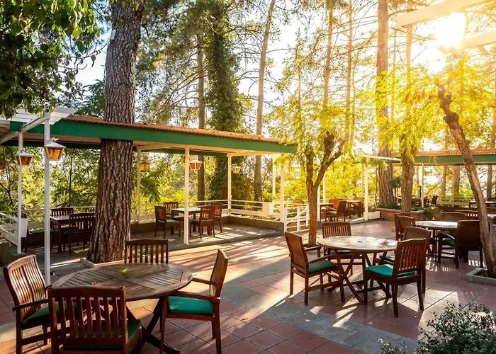 Ξενοδοχείο Forest Park Πλάτρες