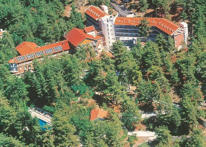 Forest Park Hotell 4*