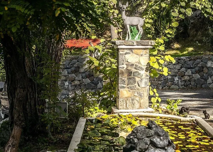 Ξενοδοχείο Forest Park