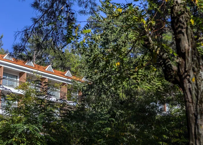 Forest Park 4* Πλάτρες